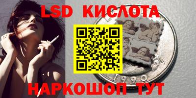 СК Гатчина