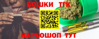 СК Гатчина