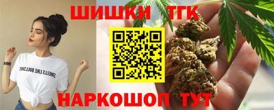СК Гатчина