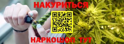 СК Гатчина
