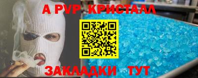 СК Гатчина