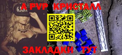 СК Гатчина