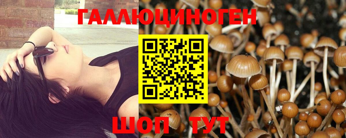 Галлюциногенные грибы Magic Shrooms Добрянка