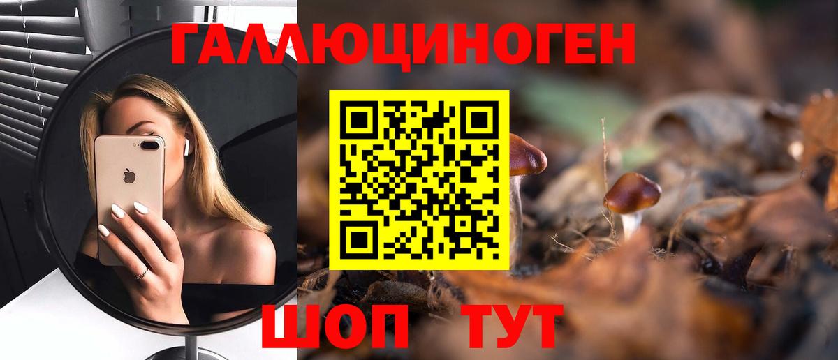 Добрянка  Псилоцибиновые грибы Psilocybe  Вход с VPN 